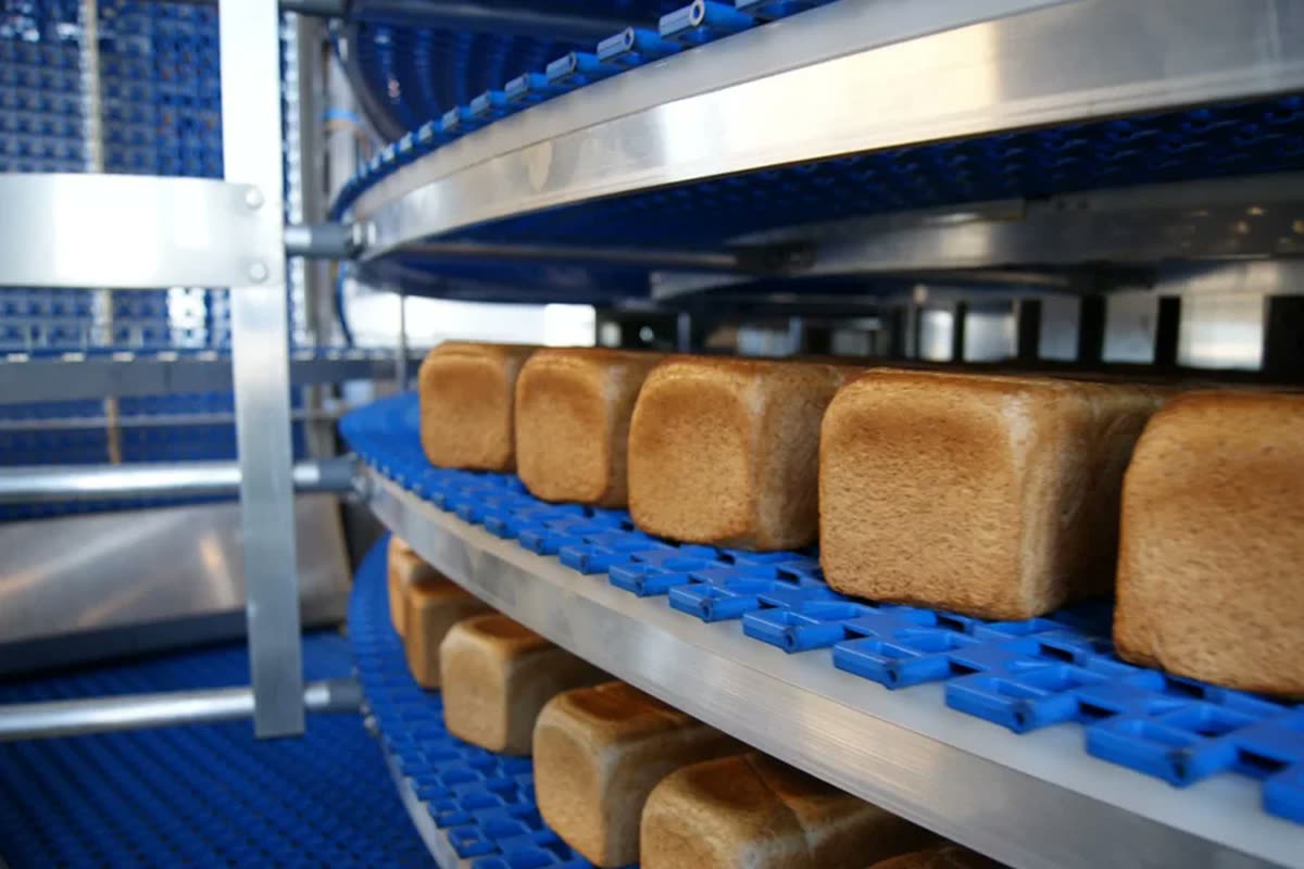 Tost ve Kalıp Ekmek Hatları